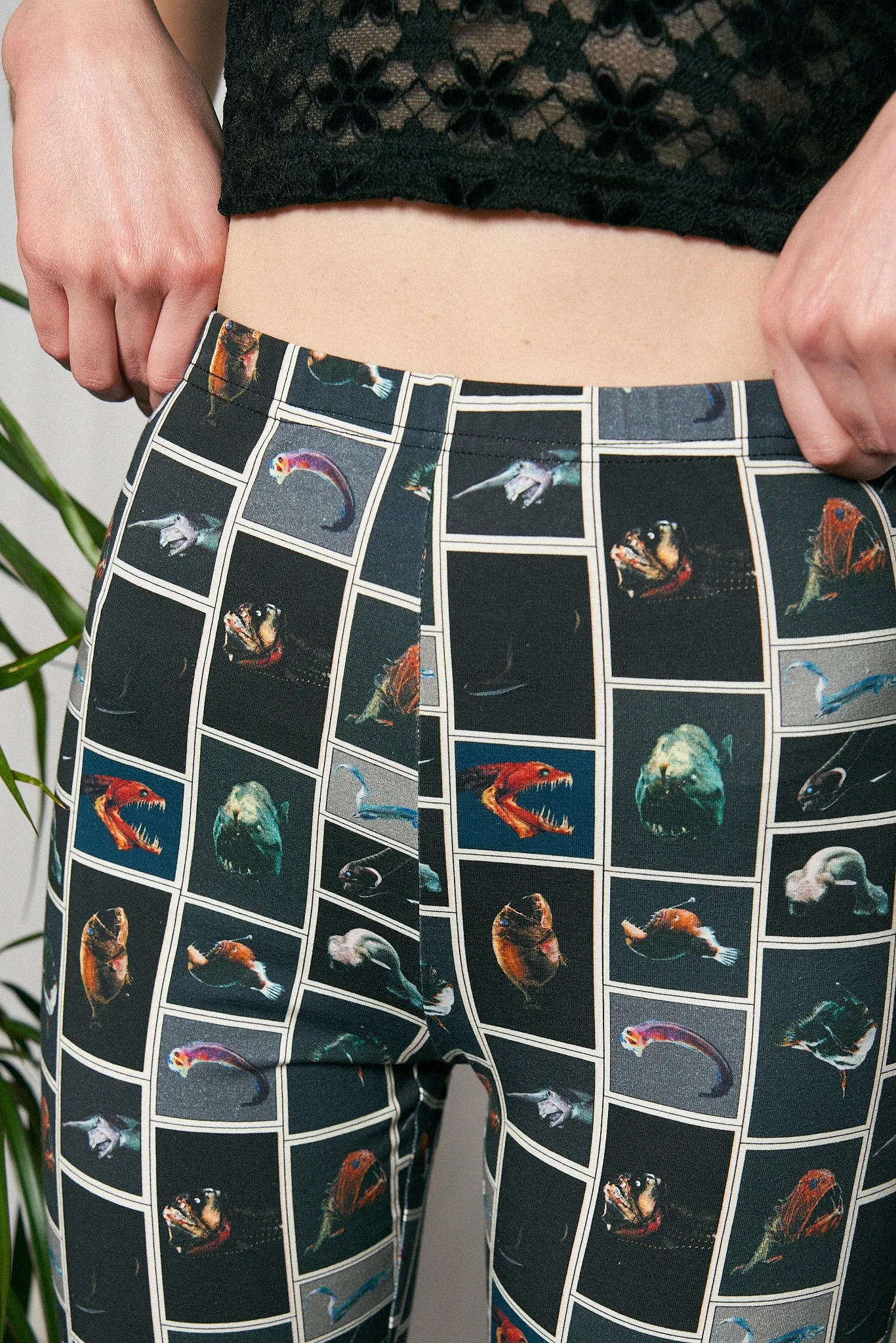 Cute Fish Cotton Spandex Pants