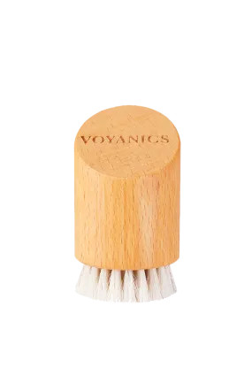 Dry Face Brush