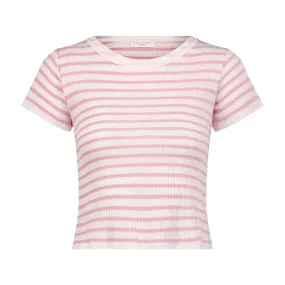 Polkadot BABY CROP TEE SS Pink Wide Harbor Rib Stripe