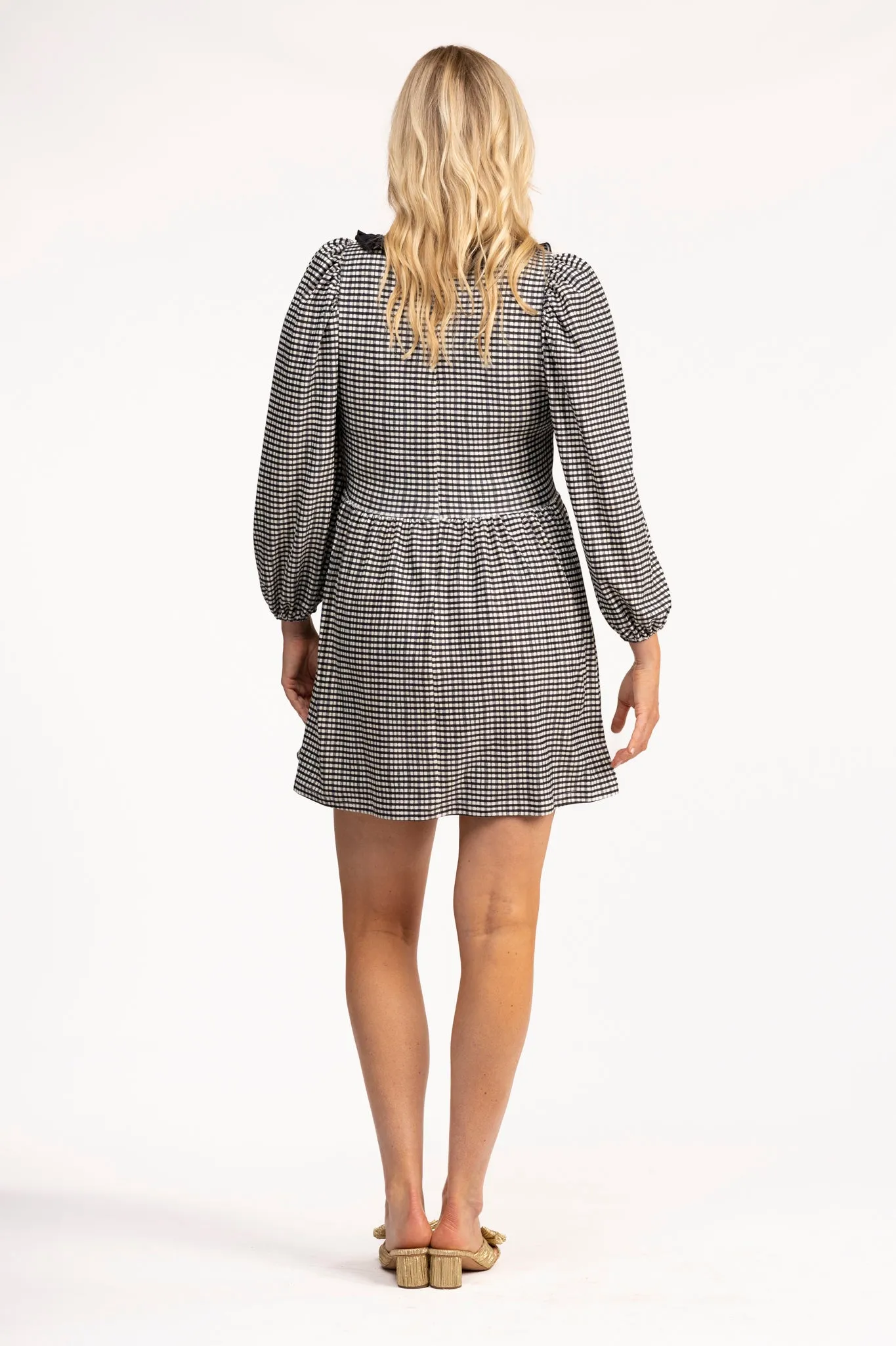 The Beatrice Ruffle Dress - French Gingham